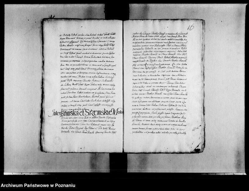 Obraz 20 z jednostki "Decreta [inducta]"