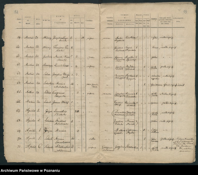 Obraz 9 z jednostki "Księga zgonów"