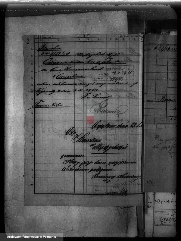 Obraz 7 z jednostki "Majętność Wituchowo w powiecie międzychodzkim"