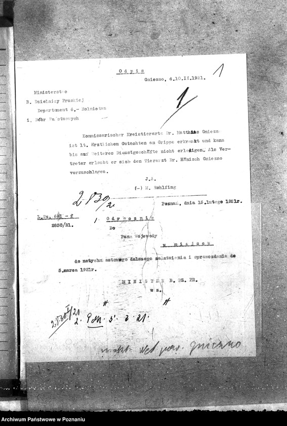 Obraz 5 z jednostki "Pow. lekarz Weterynaryjny Gniezno"