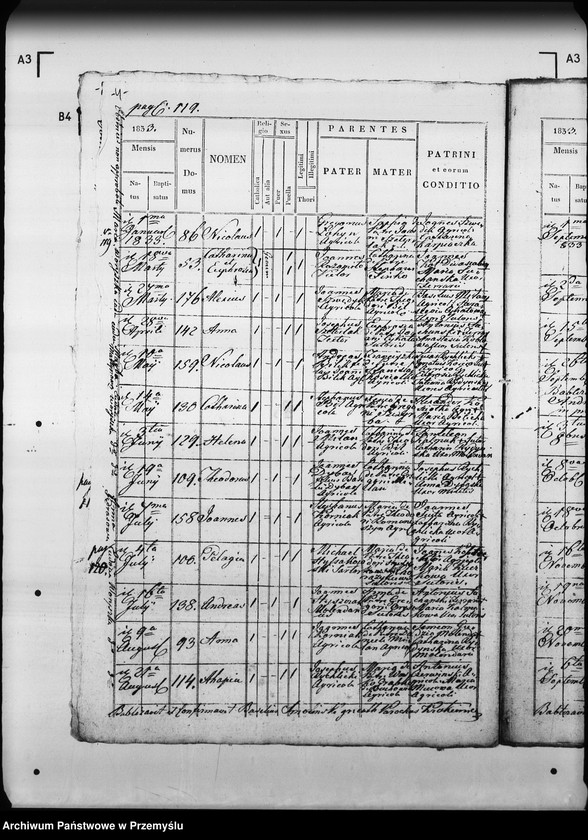 Obraz 8 z jednostki "[Kopie ksiąg metrykalnych parafii Krukienice z filią Ostrożec (dekanat Mościska)]"