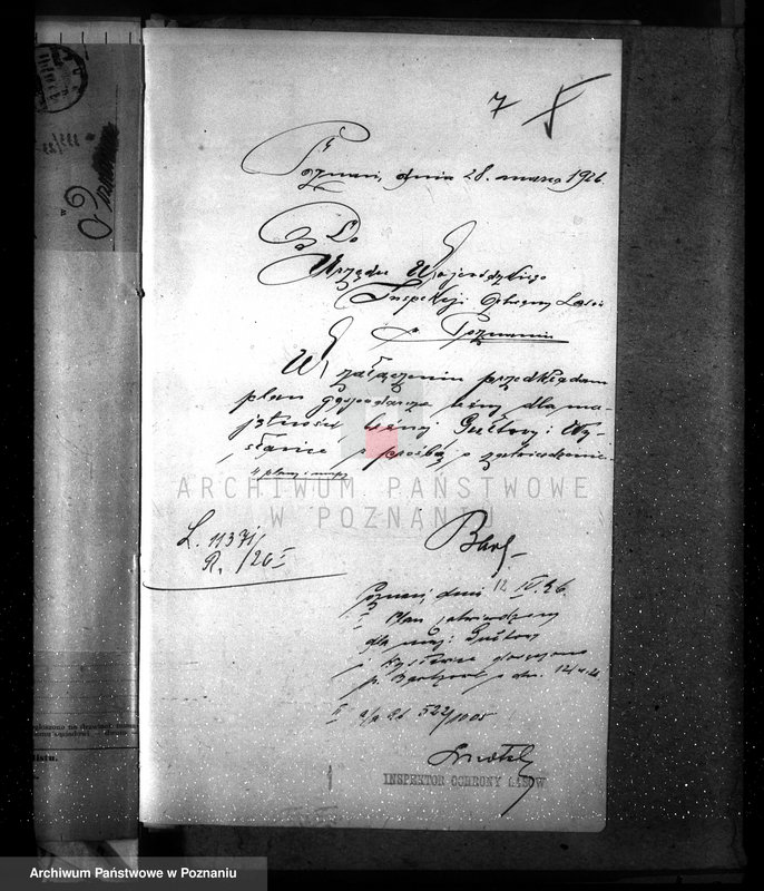 Obraz 11 z jednostki "Nadzór nad gospodarką w lasach majętności Gułtowy powiat średzki"