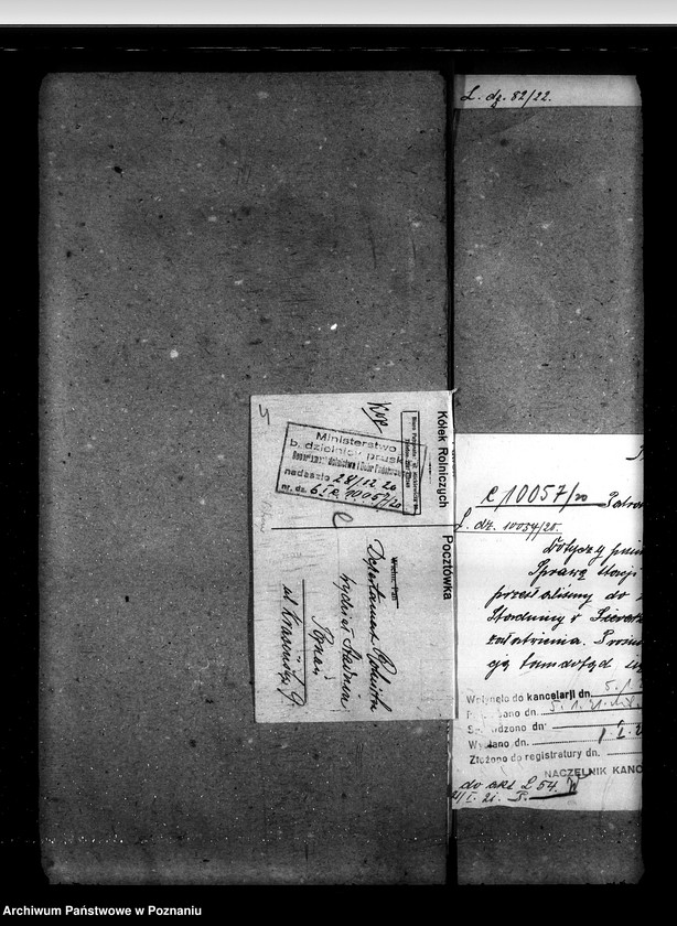 Obraz 8 z jednostki "Sprawy stadnin rozdział rządowych ogierów na stacjach"