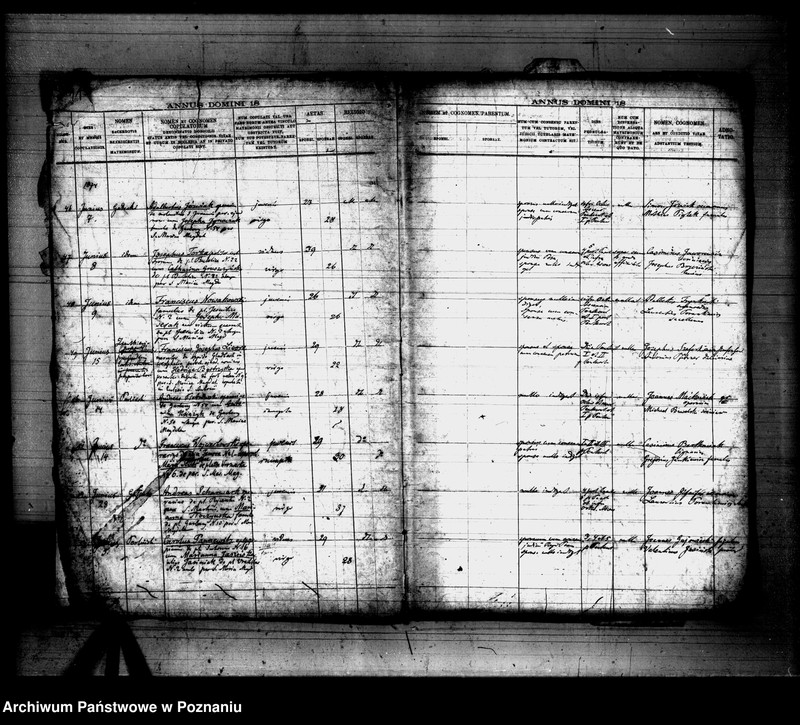 Obraz 7 z jednostki "Księga małżeństw"