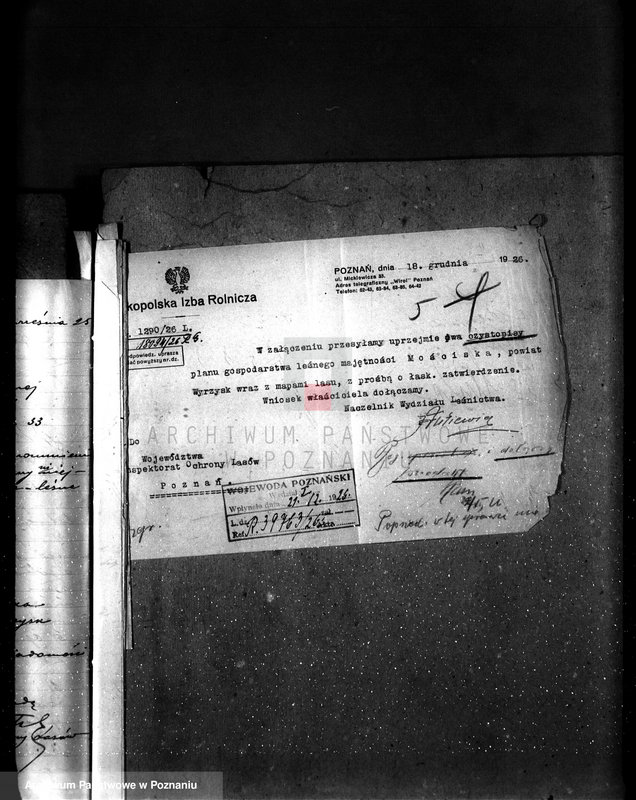 Obraz 9 z jednostki "Majętność leśna Kostrzynek-Mościska powiat wyrzyski"