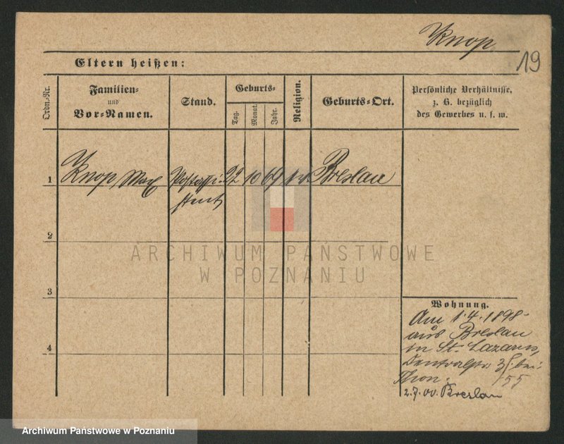 Obraz 19 z jednostki "Knop - Knytel"