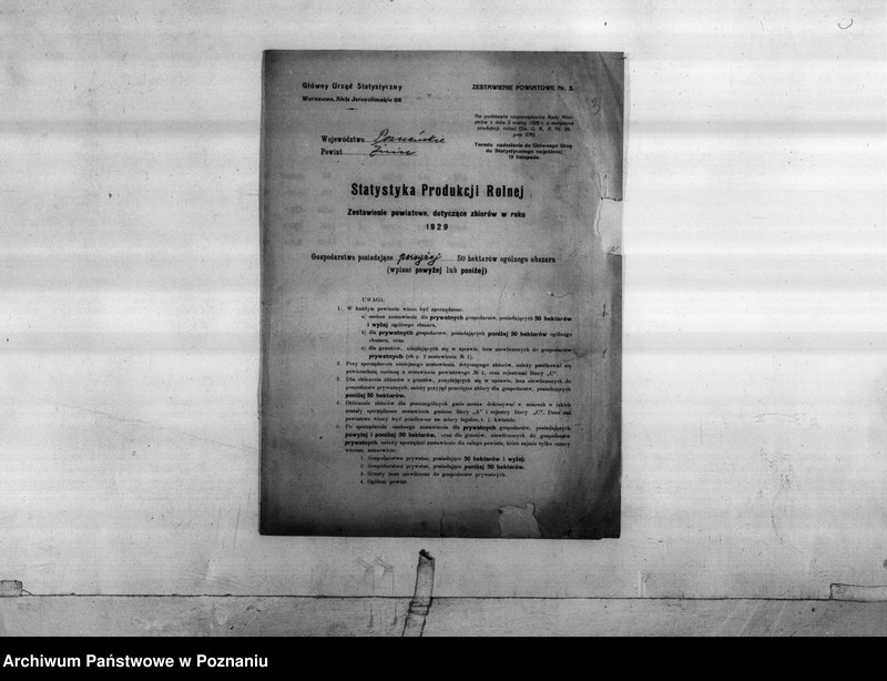 Obraz 5 z jednostki "Statystyka produkcji rolnej - zestawienie z powiatu żnińskiego"