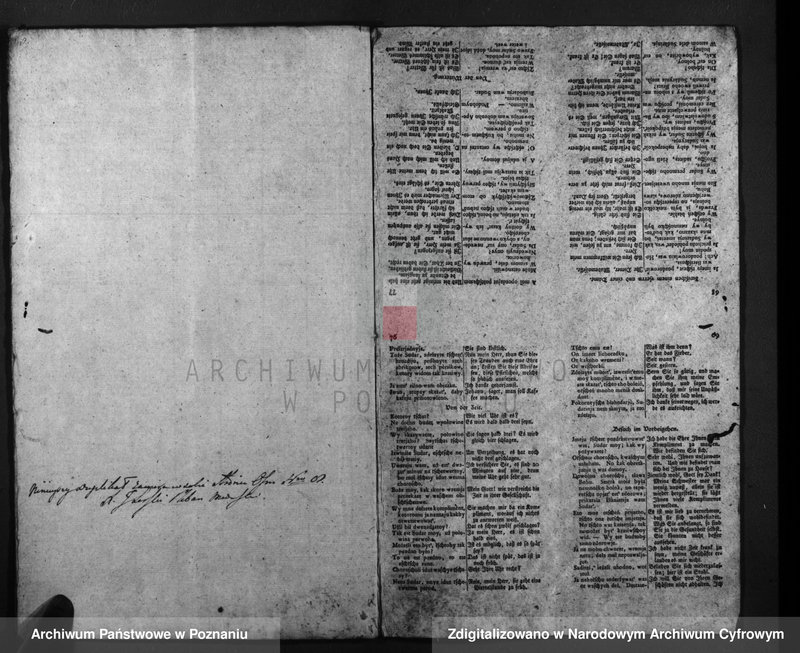 image.from.unit.number "Duplicatus baptisatorum, copulatorum, mortuorum"