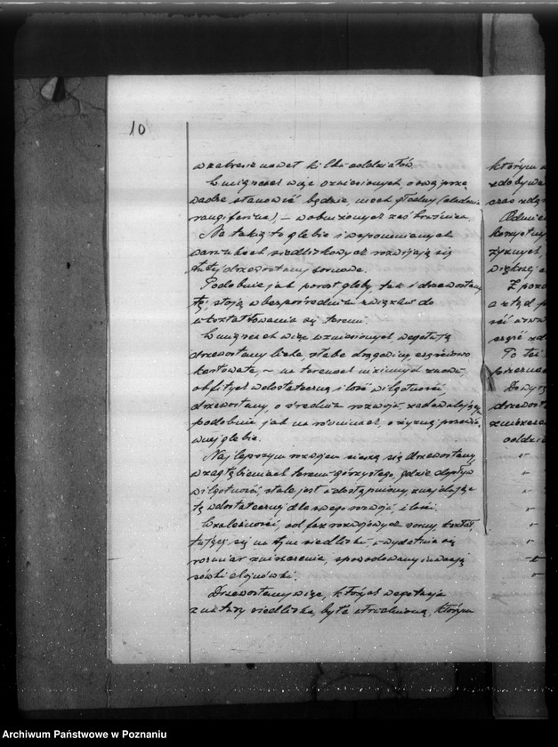 Obraz 14 z jednostki "Plan gospodarczy lasów majątku Stefanowo w powiecie nowotomyskim"