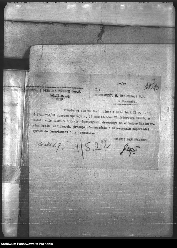 Obraz 16 z jednostki "Leśnictwo"