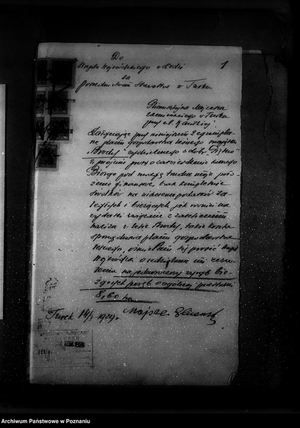 Obraz 5 z jednostki "Zatwierdzenie planu gospodarstwa leśnego dla majątku Brody powiatu tureckiego"