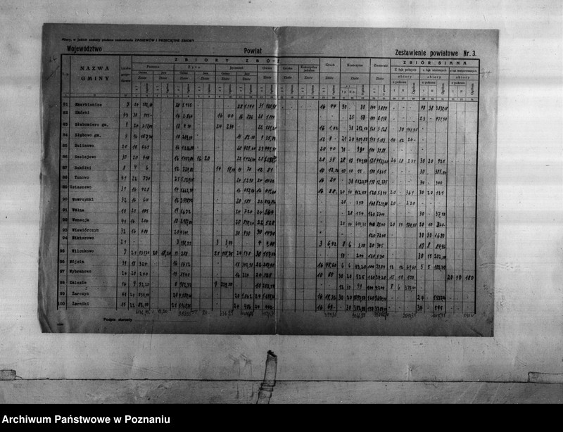 Obraz 17 z jednostki "Statystyka produkcji rolnej - zestawienie z powiatu żnińskiego"