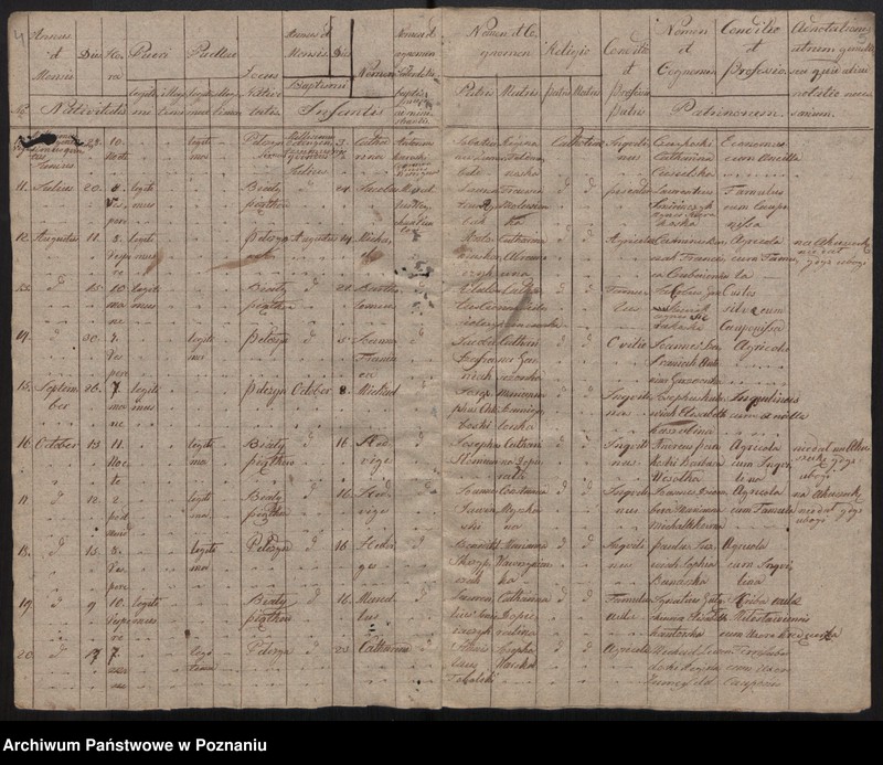 image.from.unit.number "Księga urodzonych, małżeństw, zgonów"