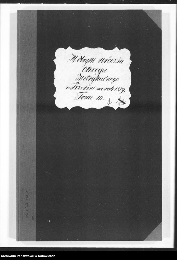 image.from.unit "Księga urodzeń nr 1-67 (pierwopis)"