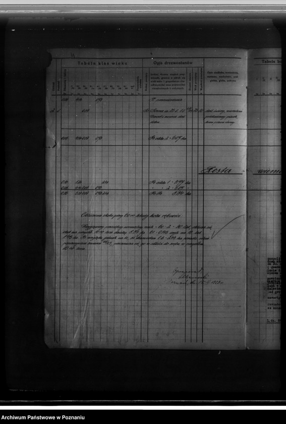 Obraz 8 z jednostki "Program gospodarczy dla lasu J. Kajewskiego w gminie Wiórek powiat poznański 1929-1939"