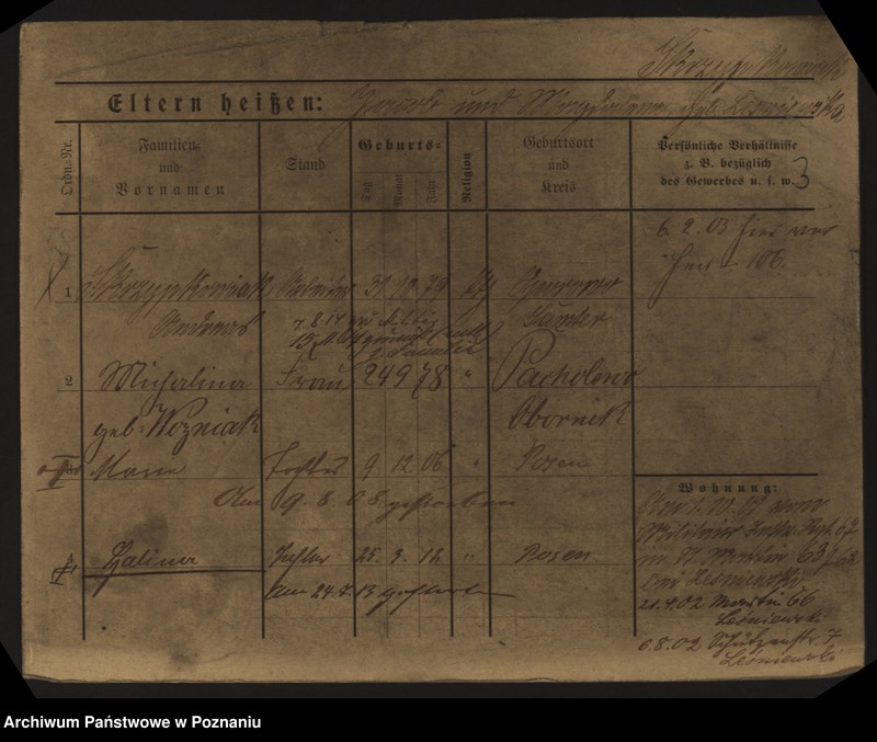 Obraz 10 z jednostki "Skrzypkowiak - Skórnik"