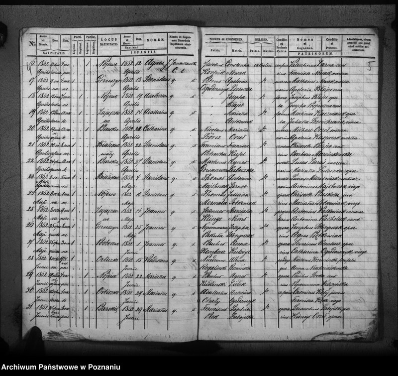 Obraz 5 z jednostki "Duplicat baptisatorum, copulatorum, mortuorum"