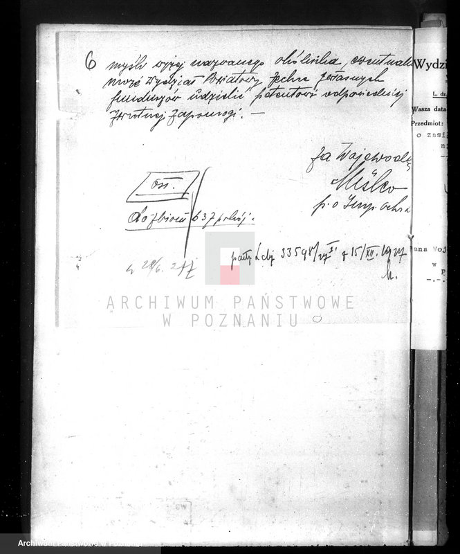 Obraz 12 z jednostki "Zalesienie nieużytków w powiecie średzkim"