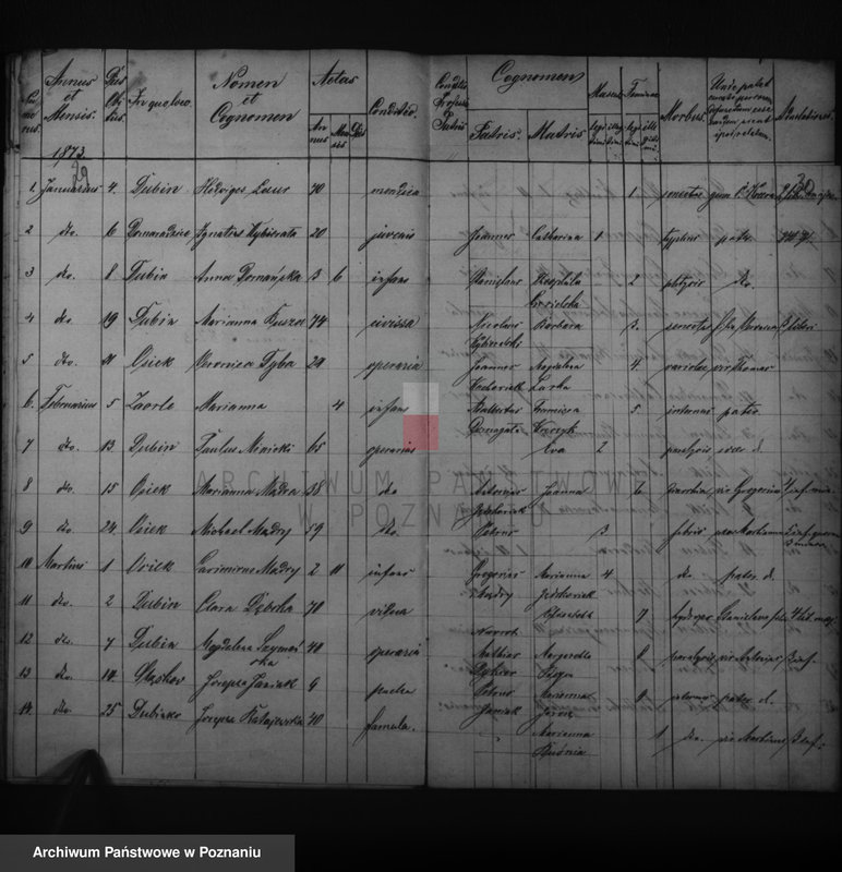 image.from.unit.number "Duplikatus baptisatorum, copulatorum, mortuorum"