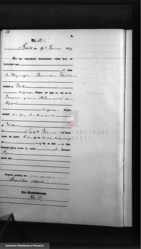 Obraz 20 z jednostki "Księga urodzeń"