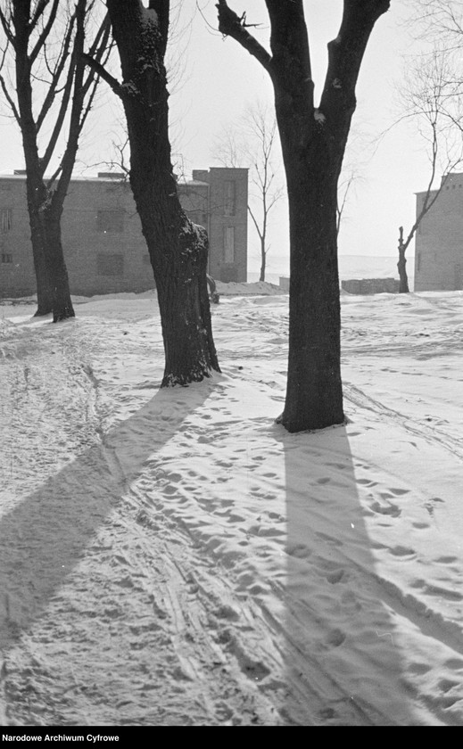 image.from.unit.number "Lublin - Ogród Saski i okolice podczas zimy"