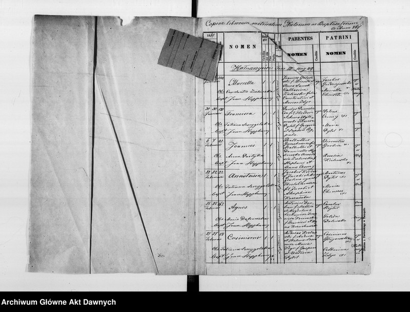 image.from.unit.number "Parafia: Hałuszczyńce. Dekanat: Skałat. Księga metrykalna urodzeń, ślubów i zgonów dla wsi: Hałuszczyńce*, Chmieliska*, Chodaczków Mały**, Konstantynówka, Romanowe Sioło, Żerebki Królewskie, Żerebki Szlacheckie."