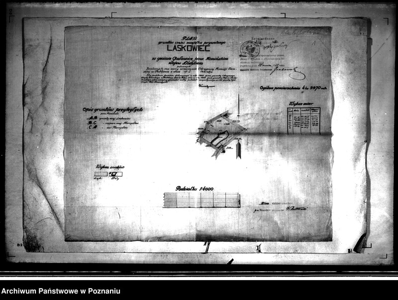 Obraz 5 z jednostki "Plan gruntów części majątku prywatnego Laskowiec powiatu konińskiego w skali 1:4000"