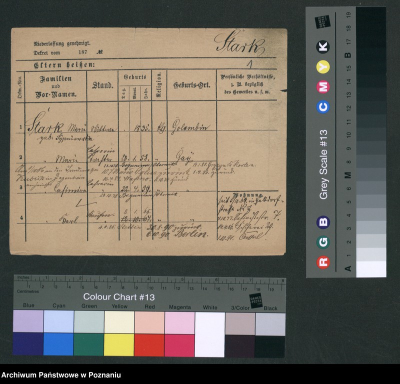 Obraz 7 z jednostki "Stankunowicz - Starosta"