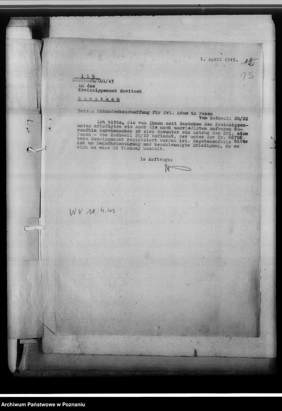 Obraz 19 z jednostki "[Korespondencja w sprawach organizacyjnych, sprawozdania z działalności], Kreissippenamt Rawitsch [Rawicz]"