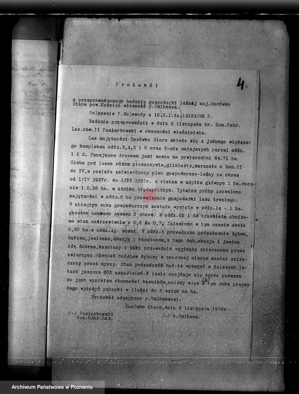 Obraz 8 z jednostki "Majętność Borówko Stare /nadzór nad gospodarką leśną/"