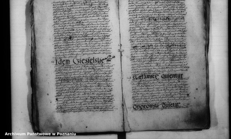 Obraz 16 z jednostki "Inscriptiones [inducta]"