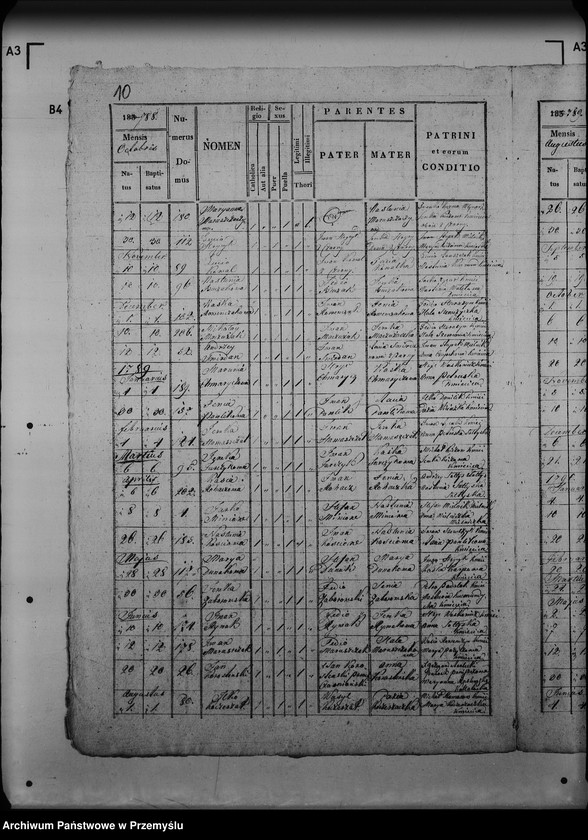 Obraz 14 z jednostki "[Kopie ksiąg metrykalnych parafii Czarna z filią Żołobek (dekanat Lutowiska)]"