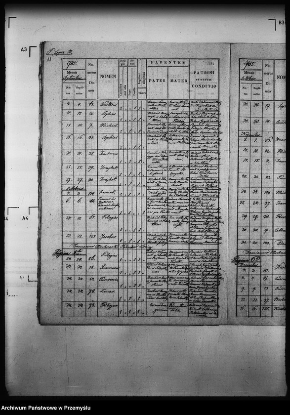 image.from.unit.number "[Kopie ksiąg metrykalnych parafii Szlachtowa (dekanat Muszyna)]"