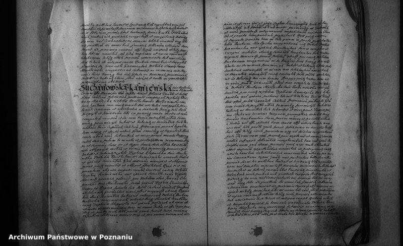 Obraz 17 z jednostki "Inscriptiones [inducta]"