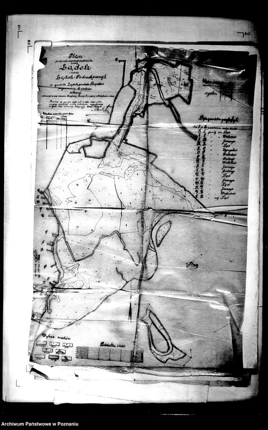 Obraz 6 z jednostki "Plany podziału wspólnego pastwiska osady Lądek i osady Lądek Poduchowny I skala 1:4000"