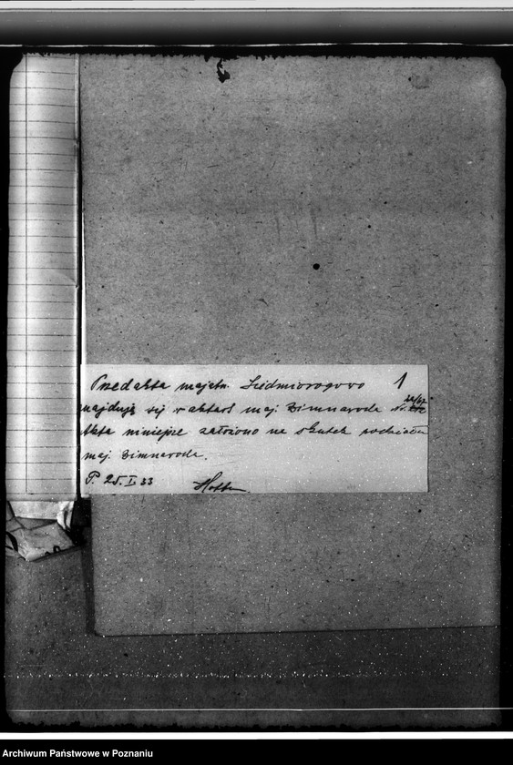 Obraz 5 z jednostki "Nadzór nad gospodarką w lasach majętności Siedmiorogowo w powiecie gostyńskim"