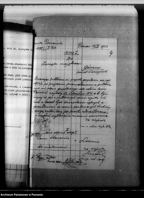 Obraz 8 z jednostki "Majętność leśna Górzno-Bojanice powiat leszczyński"