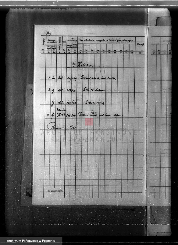 Obraz 17 z jednostki "Program urządzania gospodarstwa leśnego dla lasu klasztoru O.O Benedyktynów w Lubiniu powiat kościański"