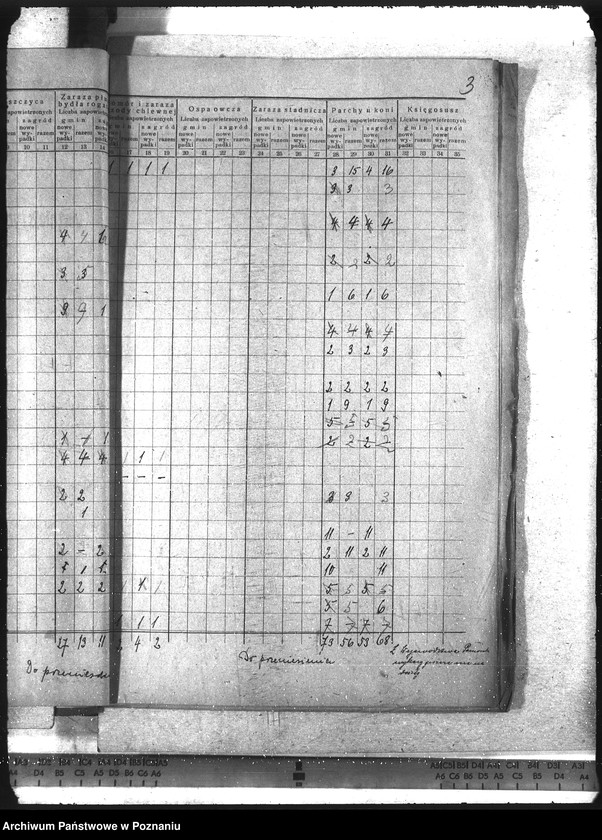 Obraz 7 z jednostki "Wykaz chorób zaraźliwych zwierząt"