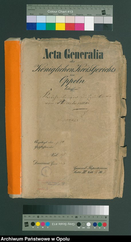 image.from.unit "Kirchenbücher Duplikate vom Plümkenau"