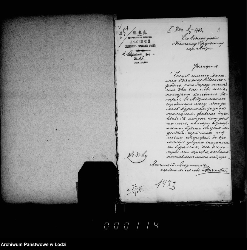 Obraz 5 z jednostki "O prodaže bureloma i suchostoja v gorodskich lesach"