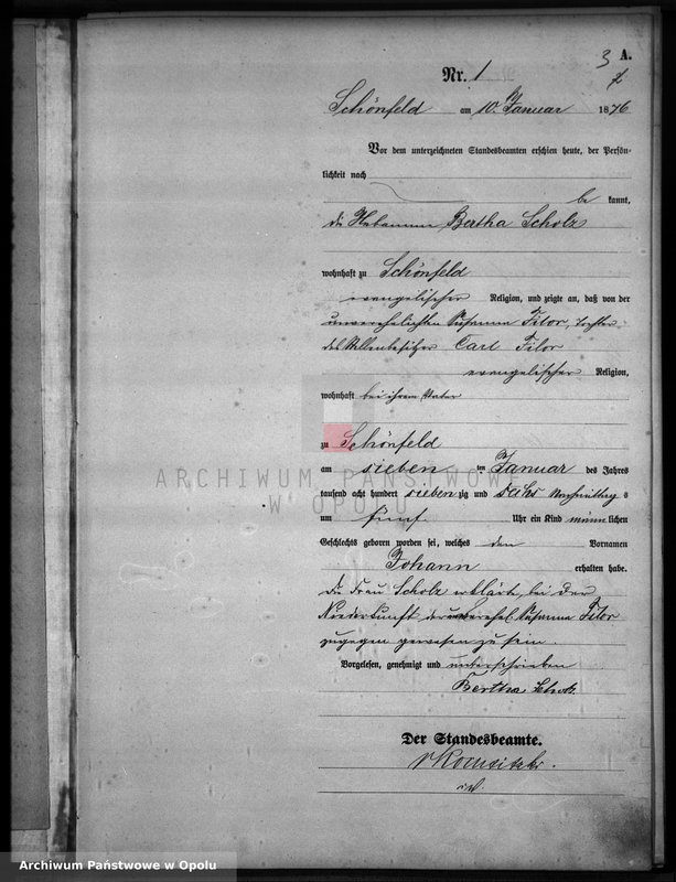 image.from.unit.number "Geburts-Haupt-Register Standesamts Schönfeld pro 1876"