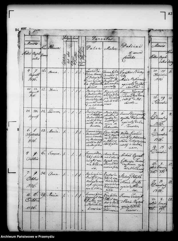 Obraz 10 z jednostki "[Kopie ksiąg metrykalnych parafii Wolica z filiami Bełchówka, Zboiska (dekanat Buków)]"