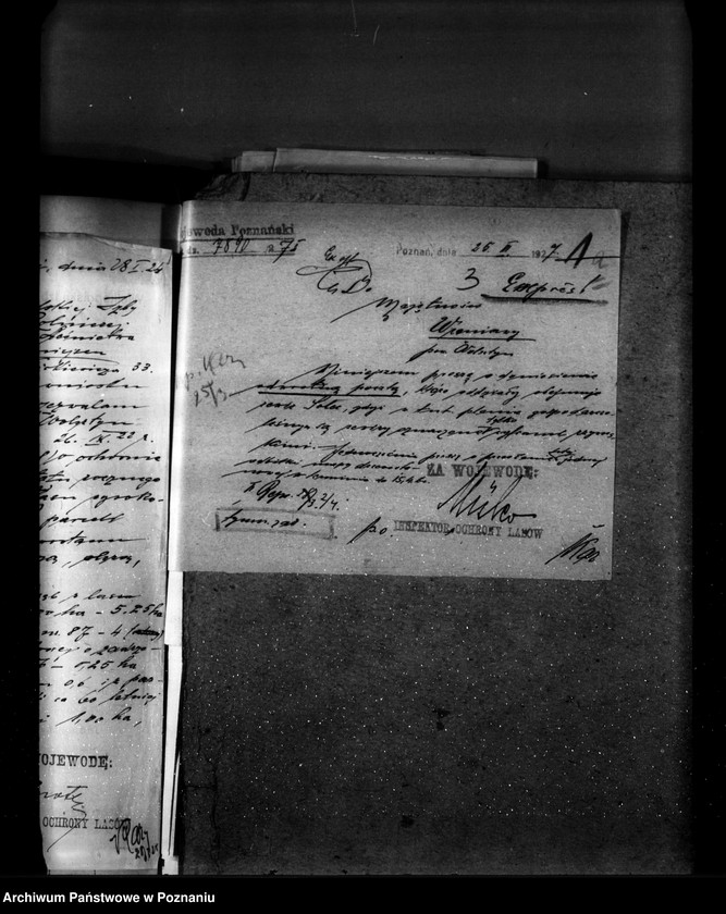 Obraz 7 z jednostki "Majętność leśna Wroniawy powiat wolsztyński"