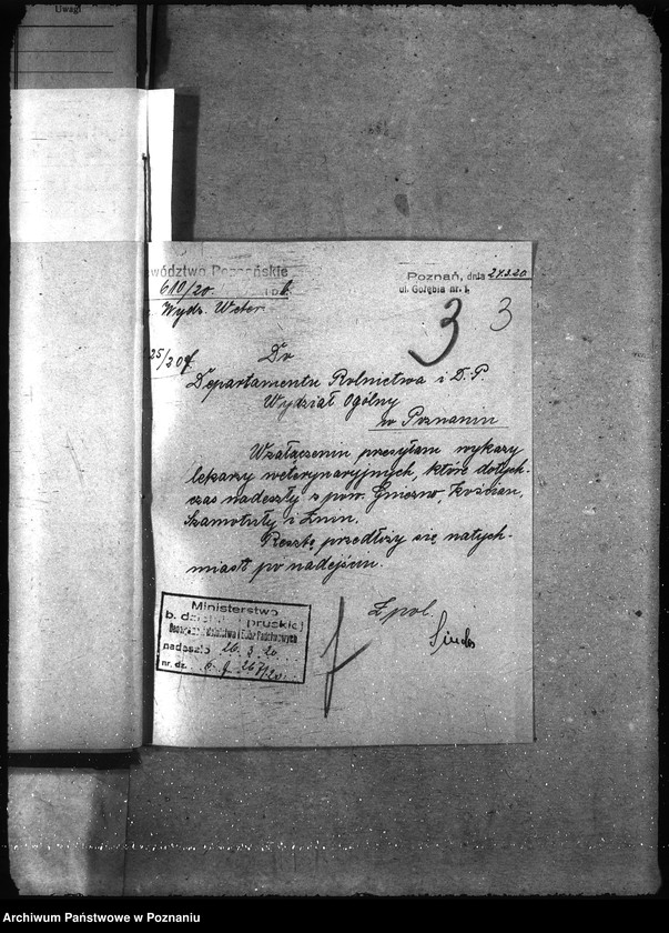 Obraz 7 z jednostki "Lekarze weterynaryjni spis"