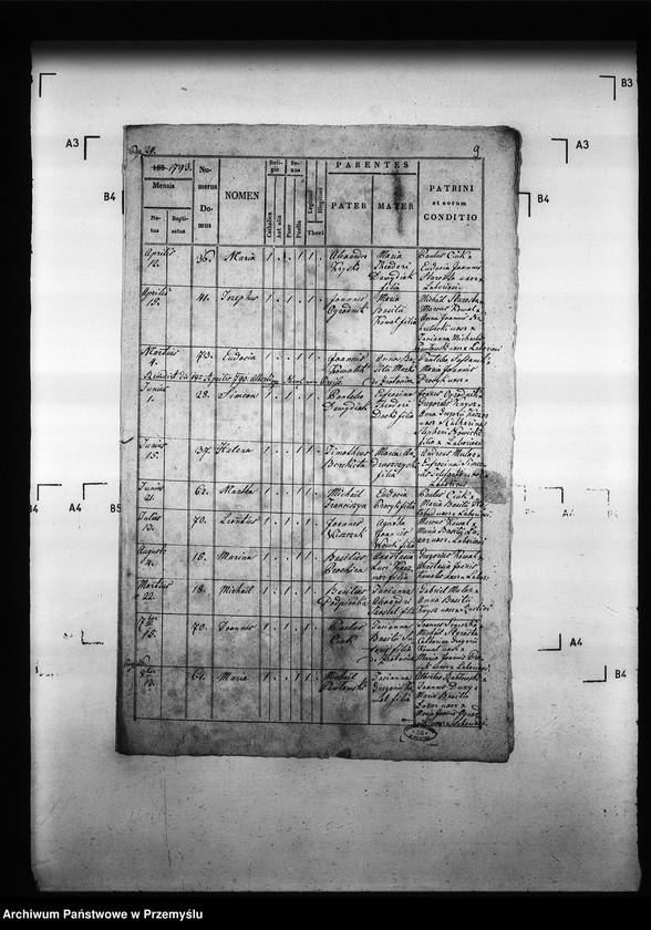 Obraz 13 z jednostki "[Kopie ksiąg metrykalnych parafii Drozdowice z filiami Stroniowice, Wielunice (dekanat Niżankowice)]"
