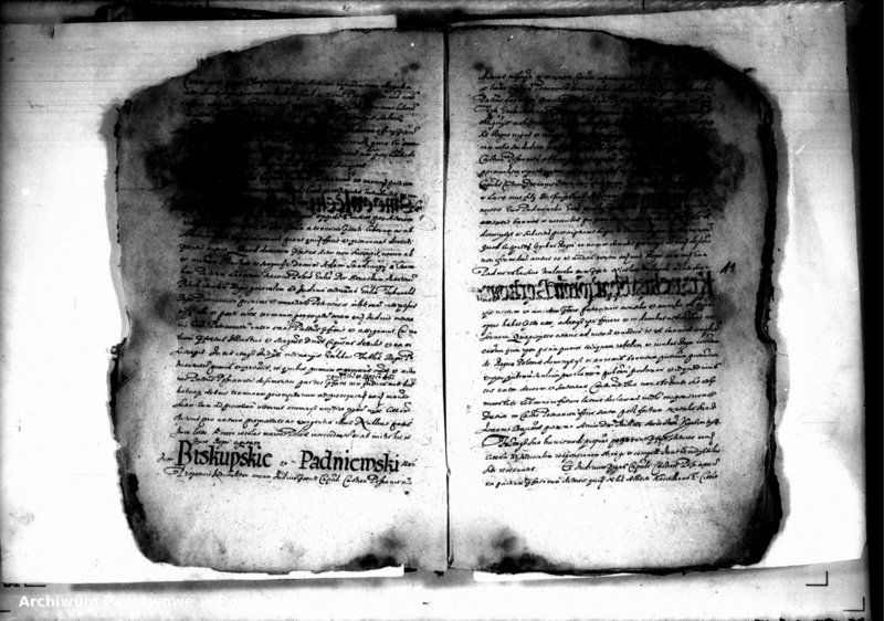 Obraz 13 z jednostki "Decreta iudicii [inducta]"