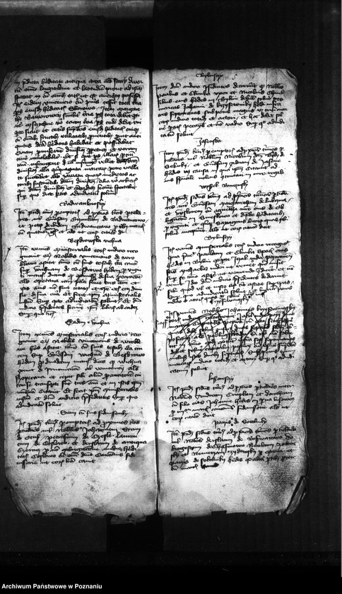 Obraz 12 z jednostki "Resignationes ,inscriptiones, relationes, decreta [protocollon]"