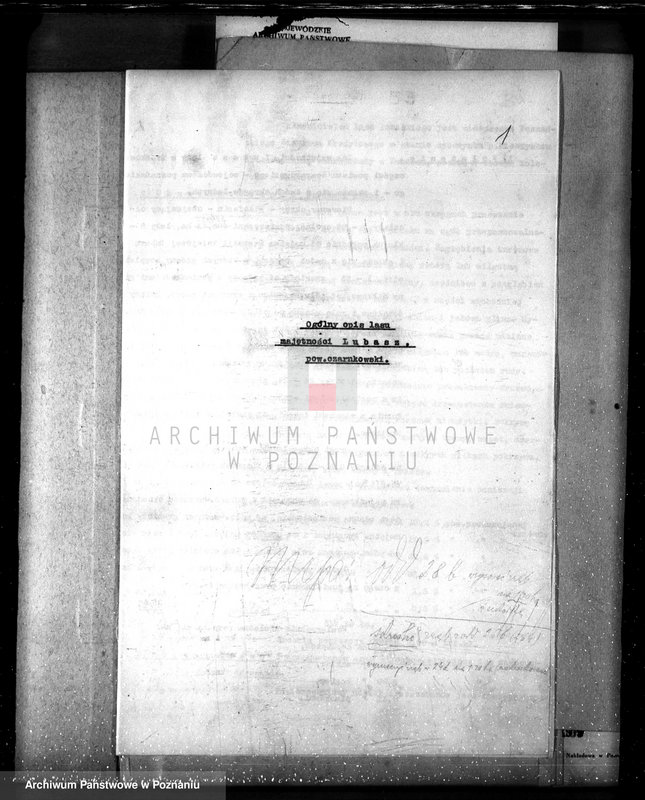 Obraz 5 z jednostki "Nadzór nad lasami/ majątku Lubasz powiatu czarnkowskiego"