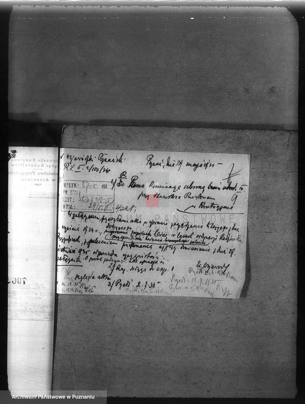 Obraz 13 z jednostki "Majętność /leśna/ Przygodzice w powiecie ostrowskim"